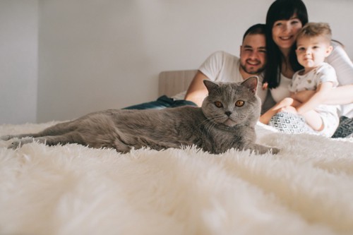 家族と猫