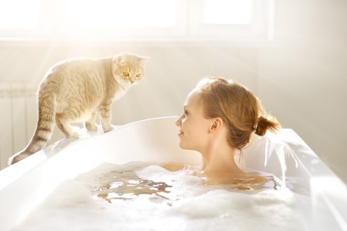 バスタブの縁に乗って入浴中の女性につきそう猫