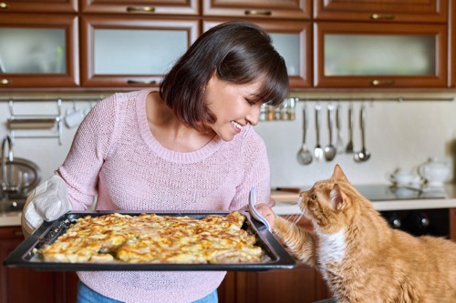 女性の出す食べ物に興味を示す猫