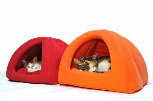 2つのドームタイプのベッドの中で寝る猫