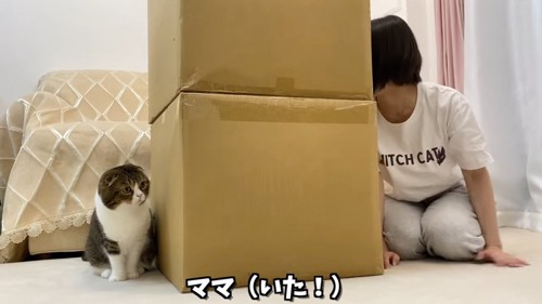 箱の横に座る人と猫