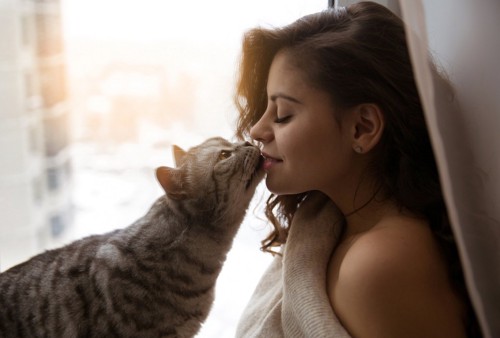 女性にキスする猫