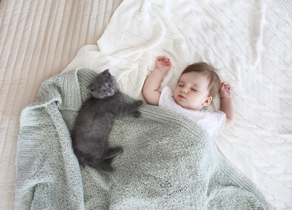 赤ちゃんと寝る猫