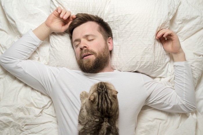 寝ている男性のお腹の上に乗る猫