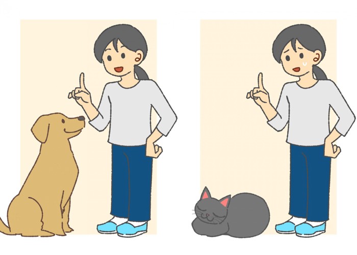 性格からみる犬と猫の違い