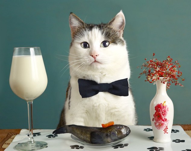 席に着く猫とテーブルの上のミルクと魚