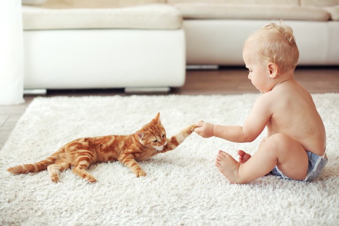 手をつなぐ赤ちゃんと猫