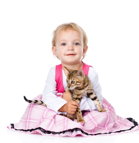 赤ちゃんとベンガル猫