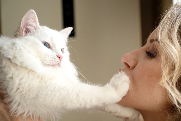 女性の顔に手を伸ばす猫