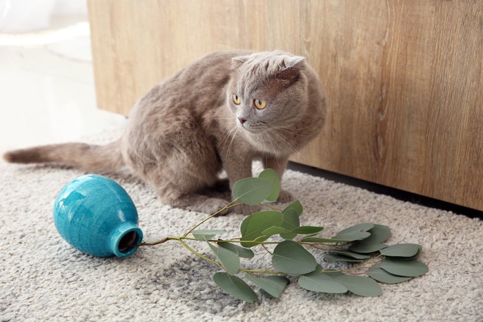 落ちた花瓶と猫