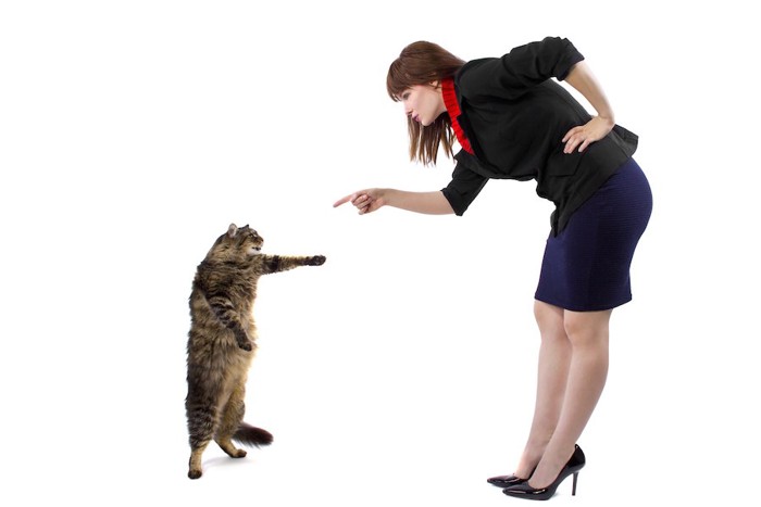 立ち上がる猫を指差している女性
