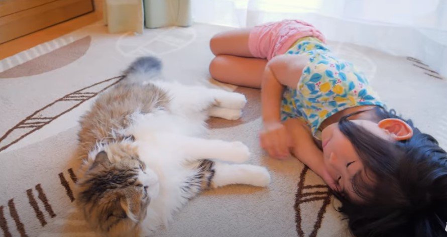 床に寝転ぶ猫と女の子