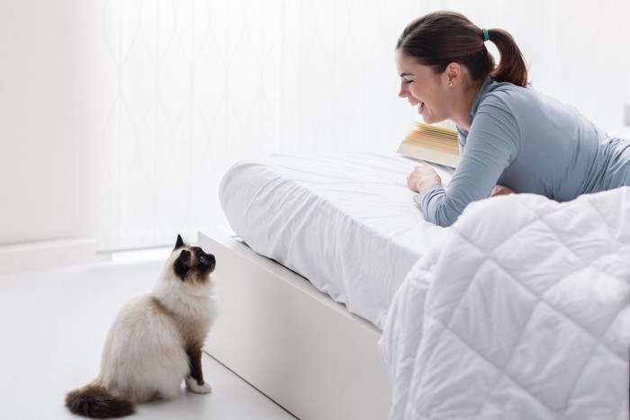 ベッドの上の女性と向き合う猫
