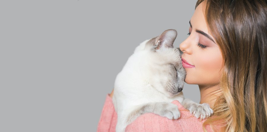 猫を抱っこしてキスしている女性