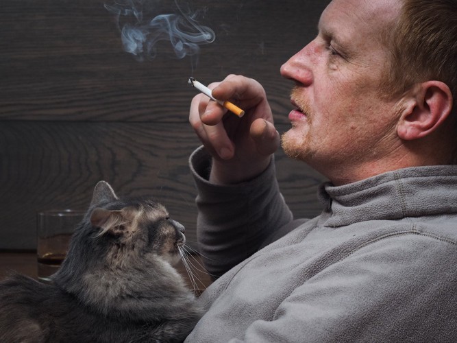 タバコを吸う男性の膝に乗る猫