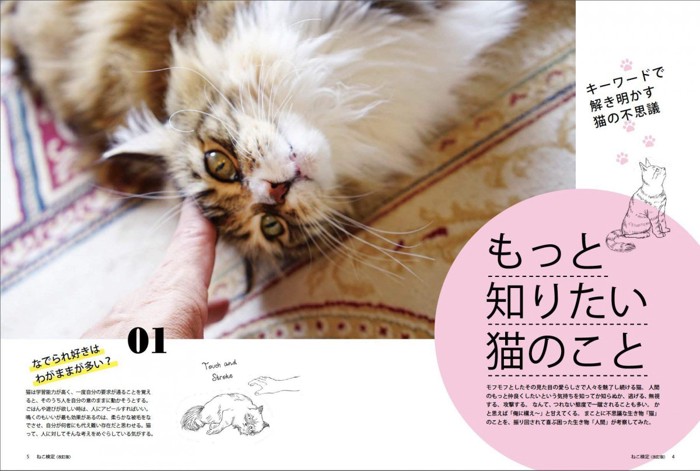 02_ねこ検定公式ガイド「もっと知りたい猫のこと」