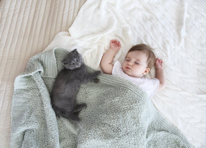 寝ている赤ちゃんのそばで休む子猫