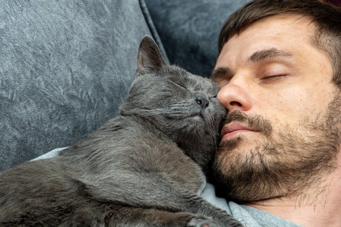 人の顔に顔をつけて寝る猫