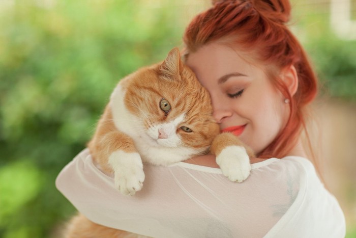 美しい女性に抱っこされる猫