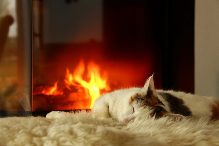 暖炉前で寝る猫