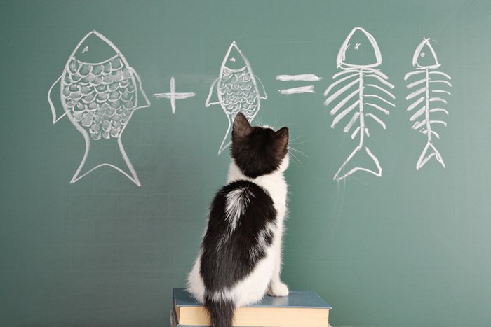 猫と黒板に書かれた焼き魚の絵