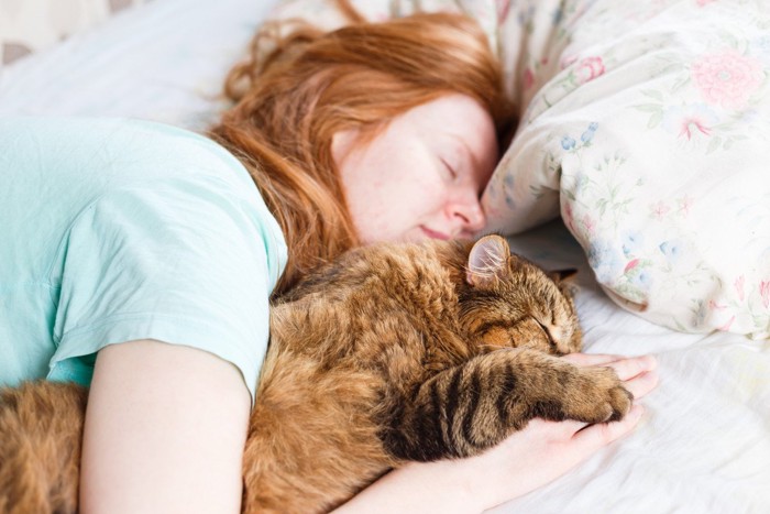 一緒に寝ている猫と女性