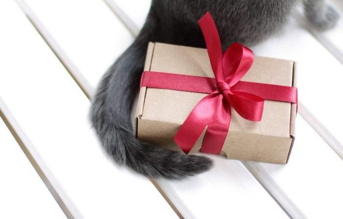 猫のしっぽとプレゼントの箱