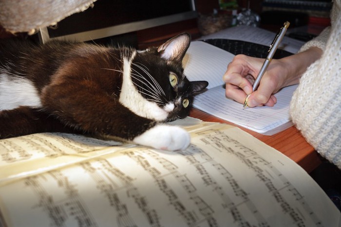 ノートにメモを取る人の手と楽譜の上で寝そべる猫
