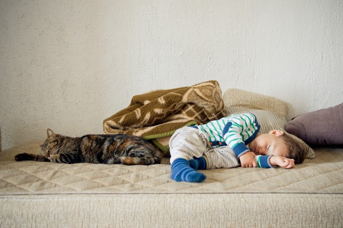一緒に寝る猫と子供