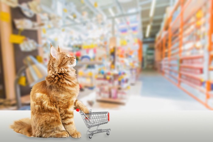 小さなショッピングカートを押す猫