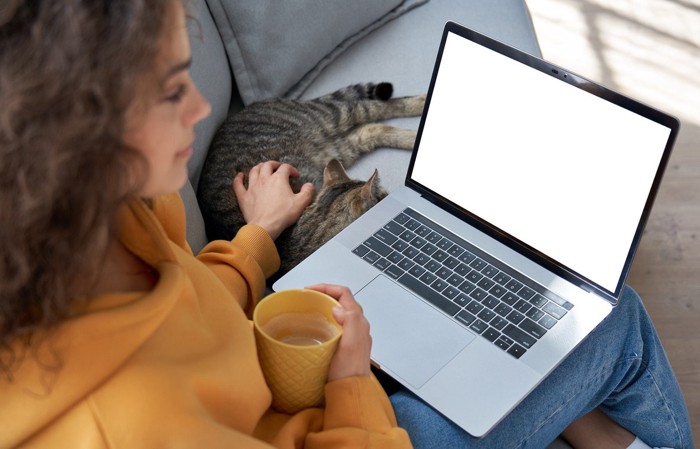 パソコンをする女性の横に座る猫