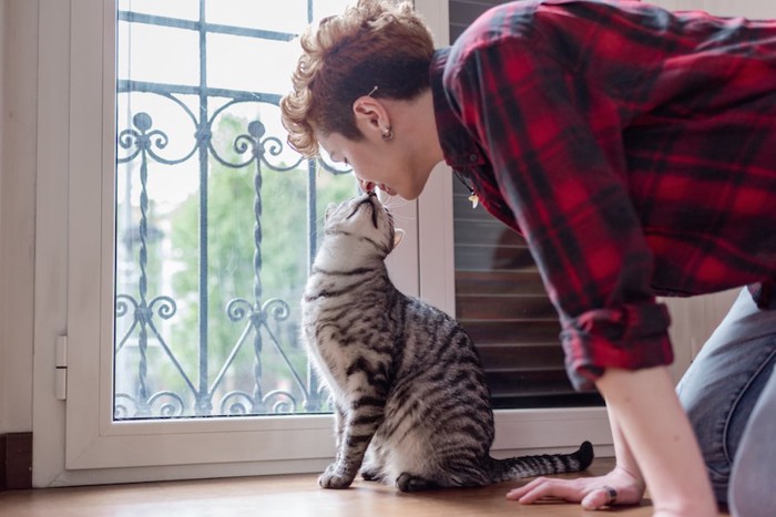 窓辺で飼い主とキスをする猫