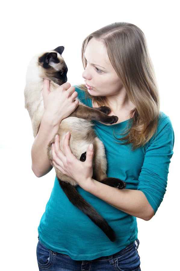 猫を抱っこして叱る女性
