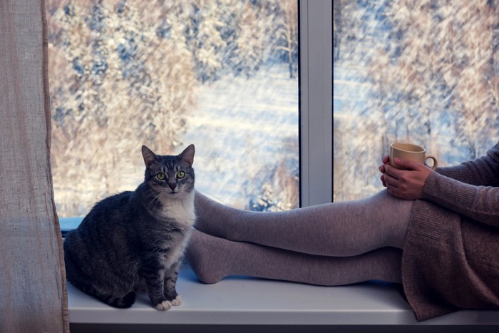 出窓に座る女性と足元の猫