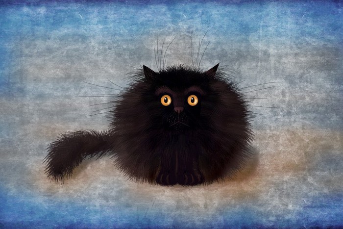 真っ黒な猫