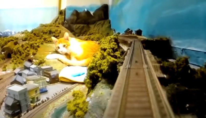 鉄道ジオラマの中で寛ぐ猫