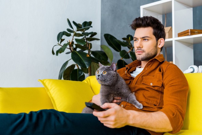 テレビを観る男性と猫