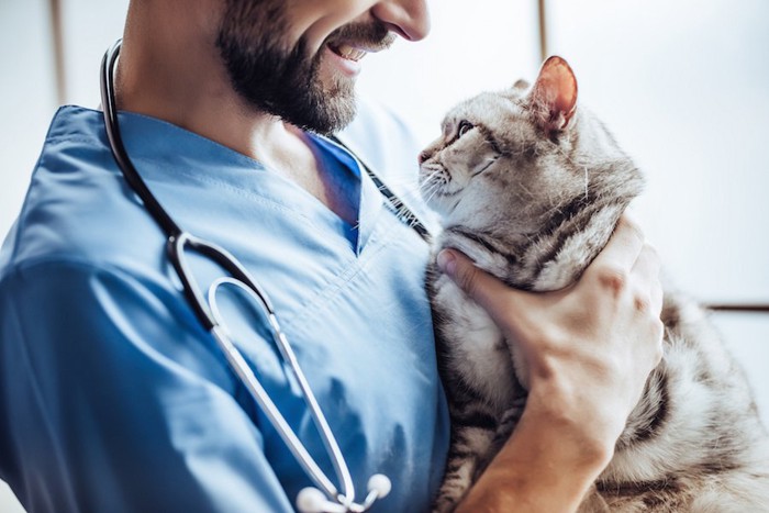 笑顔の獣医師に抱かれている猫