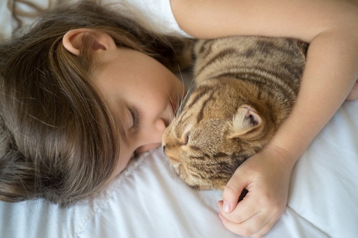 女の子と一緒に寝る猫