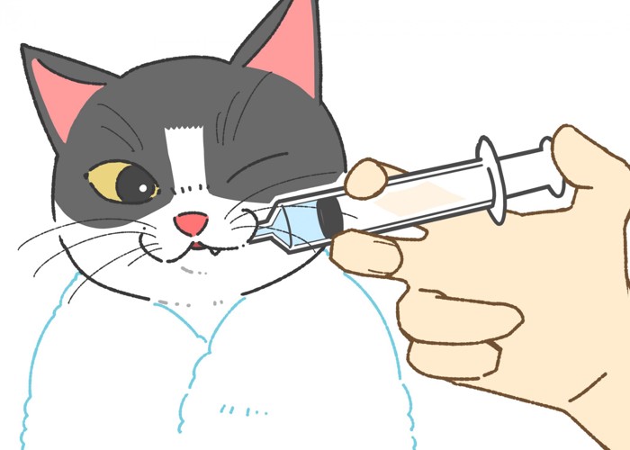 猫が薬を飲まない時の対処法～散剤（粉薬）の場合～