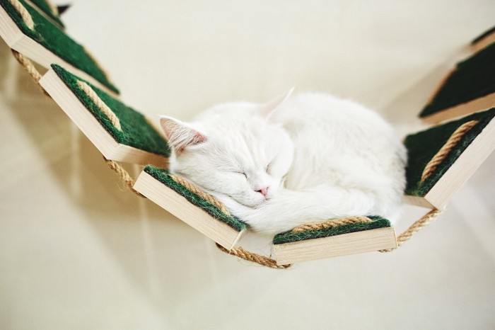 DIYしたキャットウォークの吊り橋で寝ている白猫