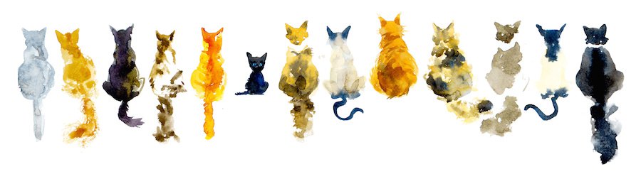 様々な種類の猫のイラスト
