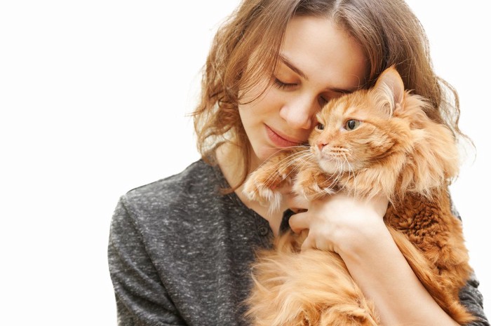 女性に抱き締められている猫