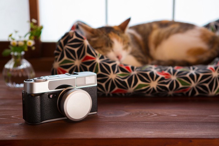 古いカメラと猫