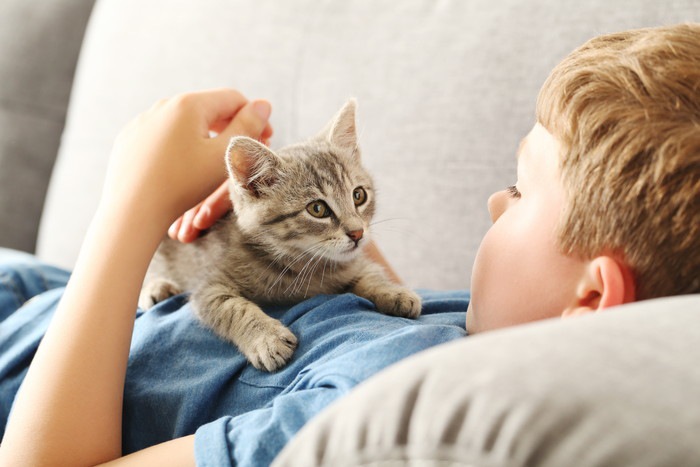 ソファーで少年に抱えられている猫