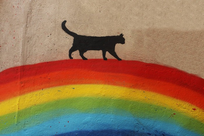 虹の上を歩く猫の絵