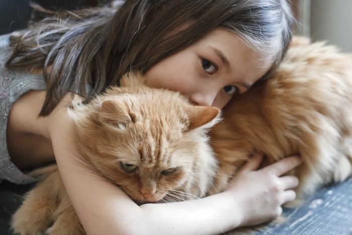 猫を抱きしめている女の子