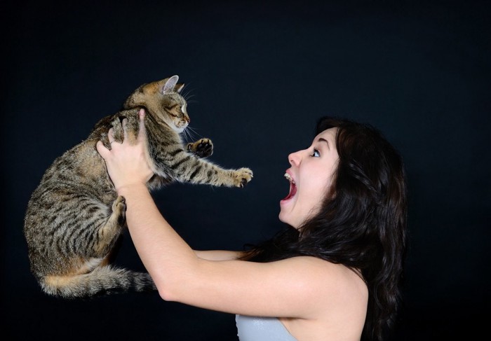 叫ぶ女性に驚く猫