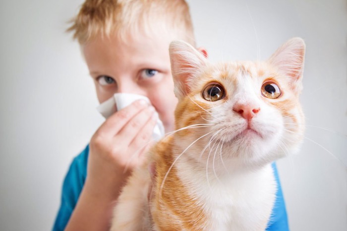 猫アレルギーの少年と猫
