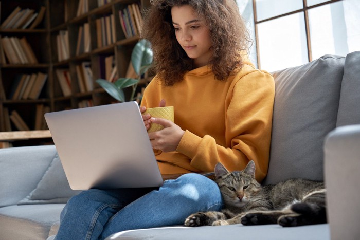 パソコンをする女性の横にいる猫